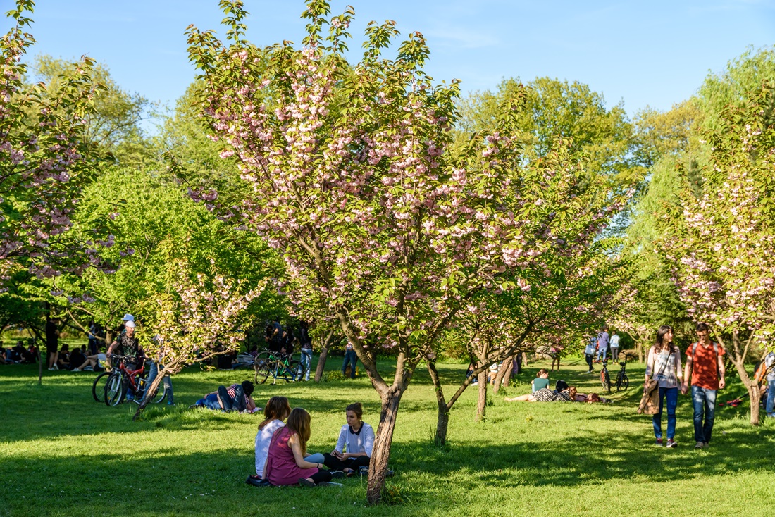 Startbild Slider Junge Menschen im Park